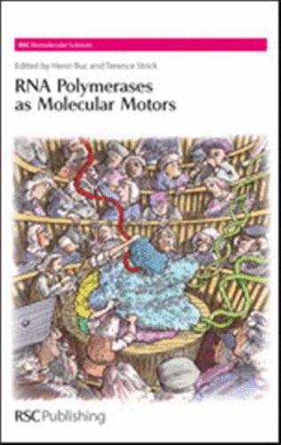 Rna Polymerases As Molecular Motors 1st Edition Henri C Buc