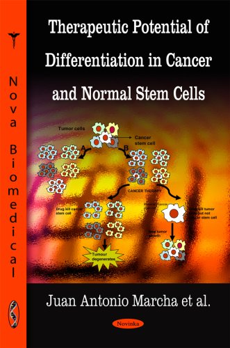 Therapeutic Potential Of Differentiation In Cancer And Normal Stem Cells 1st Edition Juan Antonio Marchal