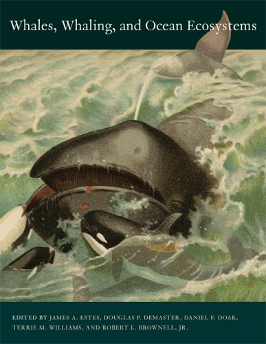 Whales Whaling And Ocean Ecosystems 1st Edition James A Estes