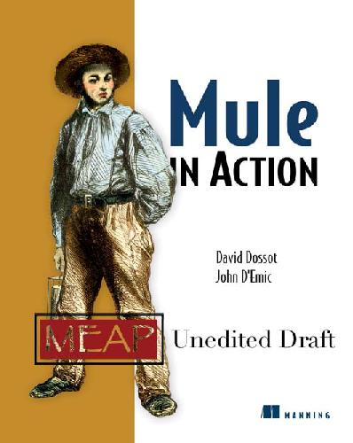 Mule In Action Meap Meap David Dossot John Demic
