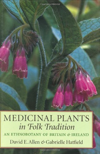 Medicinal Plants In Folk Tradition An Ethnobotany Of Britain And Ireland Illustrated Edition David E Allen