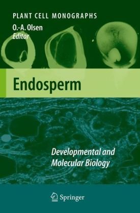 Endosperm Developmental And Molecular Biology 1st Edition R C Brown