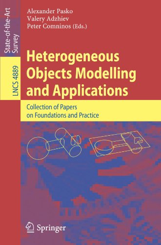Heterogeneous Objects Modelling And Applications Collection Of Papers On Foundations And Practice 1st Edition Elena Kartasheva