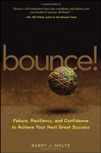 Bounce Failure Resiliency And Confidence To Achieve Your Next Great Barry J Moltz