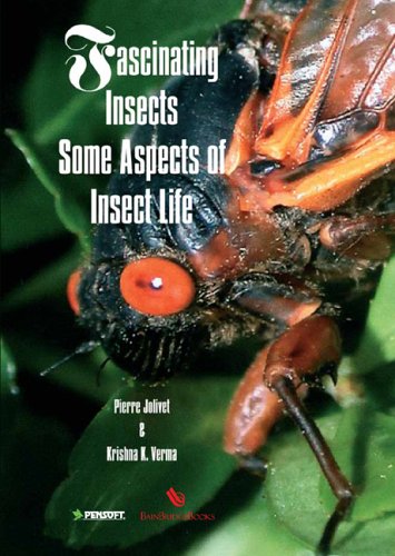 Fascinating Insects Some Aspects Of Insect Life Pierre Jolivet