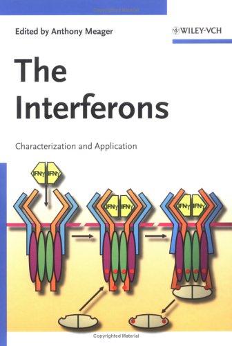 The Interferons Characterization And Application Anthony Meager