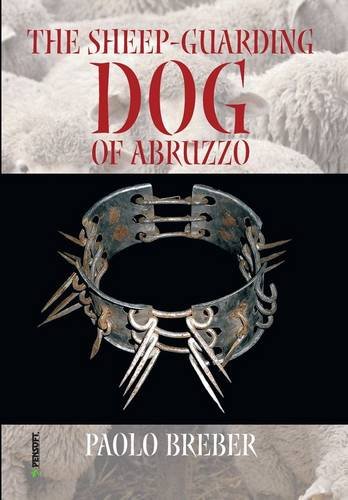 The Sheepguarding Dog Of Abruzzo P Breber