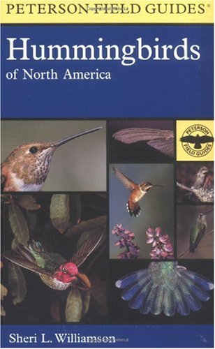 A Field Guide To Hummingbirds Of North America Sheri Williamson