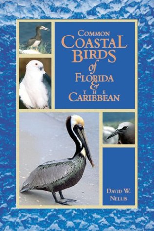 Common Coastal Birds Of Florida The Caribbean 1st Ed David W Nellis
