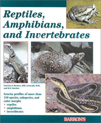 Reptiles Amphibians And Invertebrates An Identification And Care Guide Patricia P Bartlett
