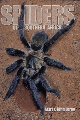 Spiders Of Southern Africa John Leroy Astrid Leroy