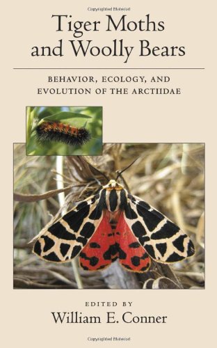 Tiger Moths And Woolly Bears Behavior Ecology And Evolution Of The Arctiidae William E Conner