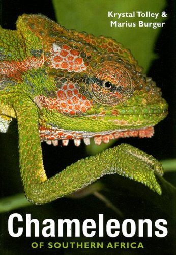 Chameleons Of Southern Africa 1st Edition Krystal Tolley Marius Burger