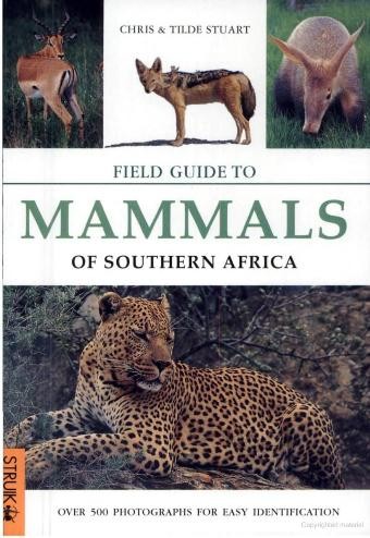Field Guide To Mammals Of Southern Africa Chris Stuart