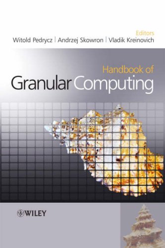 Handbook Of Granular Computing Witold Pedrycz Andrzej Skowron