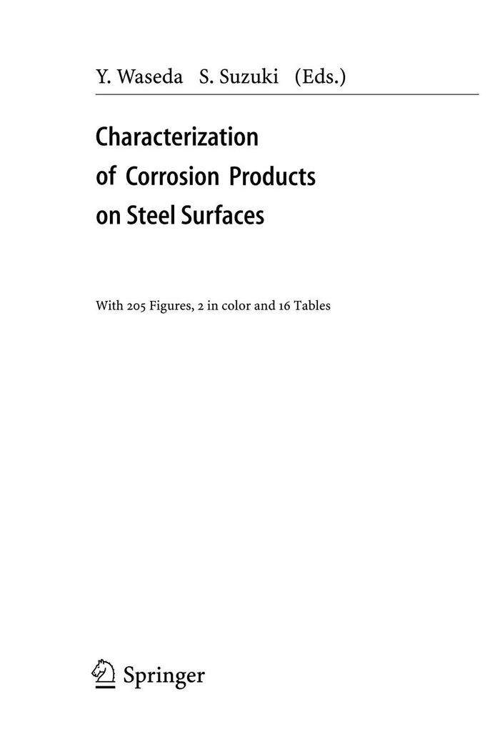 Characterization Of Corrosion Products On Steel Surfaces 1st Edition Yoshio Waseda