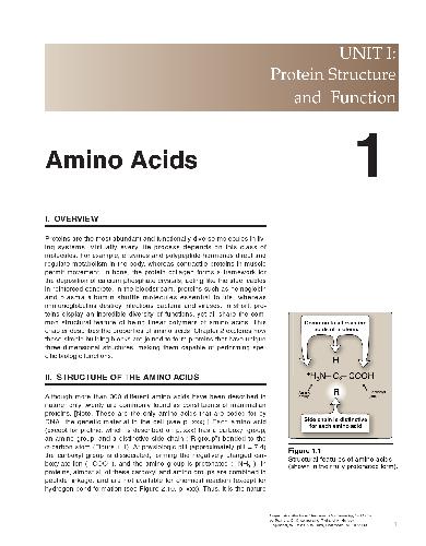 Illustrated Reviews Biochemistry Amino Acids Chapter 1 3rd Edition Not Known