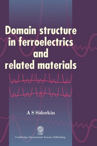 Domain Structure In Ferroelectrics And Related Materials A S Sidorkin