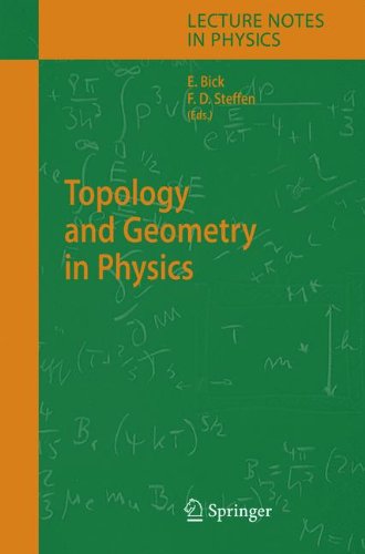 Topology And Geometry In Physics 1st Edition E Bick Fd Steffen Auth
