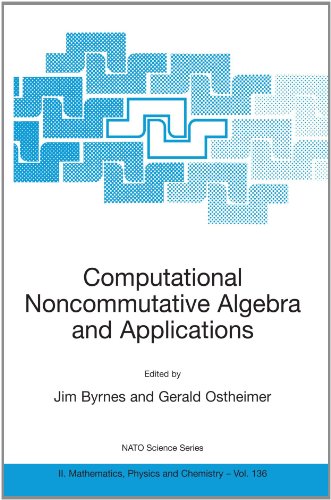 Computational Noncommutative Algebra And Applications 1st Edition Jim Byrnes