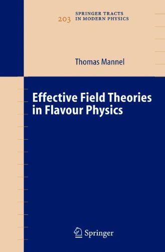 Effective Field Theories In Flavour Physics 1st Edition Thomas Mannel