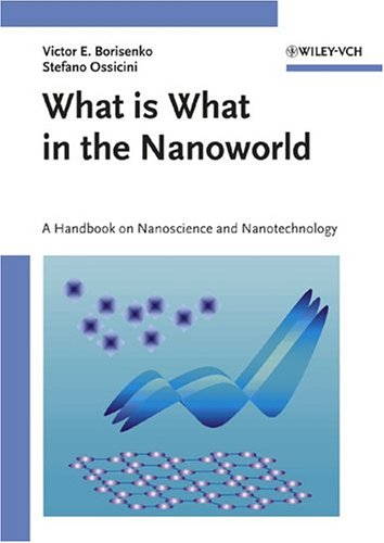 What Is What In The Nanoworld A Handbook On Nanoscience And Nanotechnology 1st Edition Victor E Borisenko