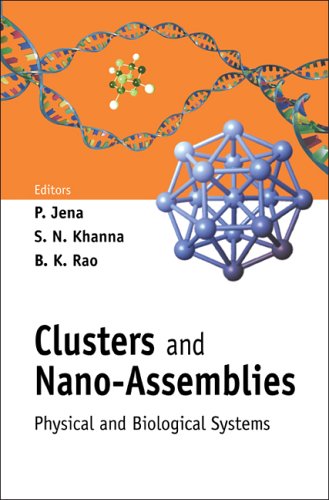 Clusters And Nanoassemblies Physical And Biological Systems P Jena