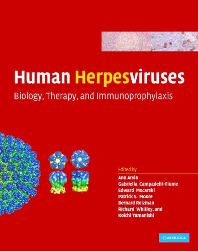 Human Herpesviruses Biology Therapy And Immunoprophylaxis 1st Edition Ann Arvin