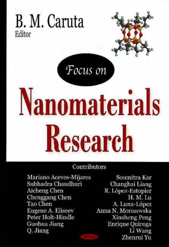 Nanomaterials New Research Illustrated Edition B M Caruta