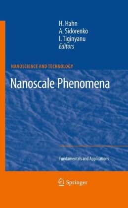 Nanoscale Phenomena Fundamentals And Applications 1st Edition A S Sidorenko