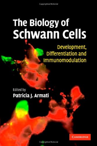 The Biology Of Schwann Cells Development Differentiation And Immunomodulation 1st Edition Patricia Armati