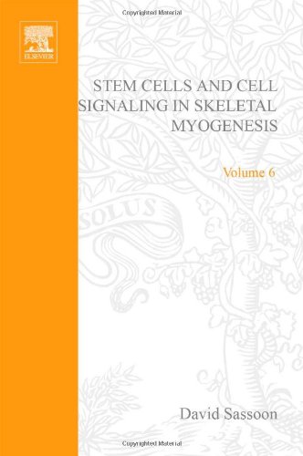 Stem Cells And Cell Signalling In Skeletal Myogenesis 1st Edition Da Sassoon