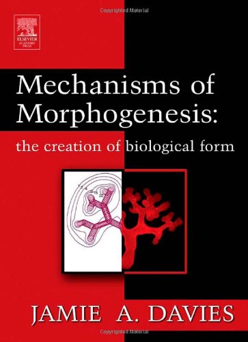 Mechanisms Of Morphogenesis 1st Edition Jamie Davies