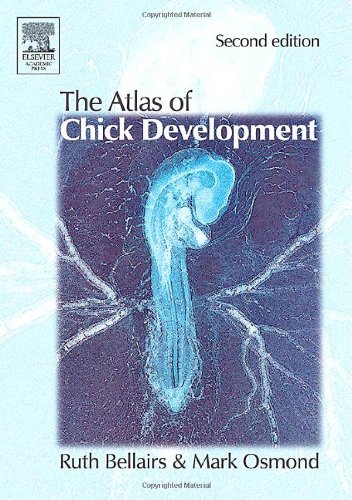 Atlas Of Chick Development Second Edition 2nd Edition Ruth Bellairs