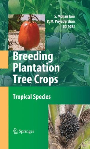 Breeding Plantation Tree Crops Tropical Species S Mohan Jain
