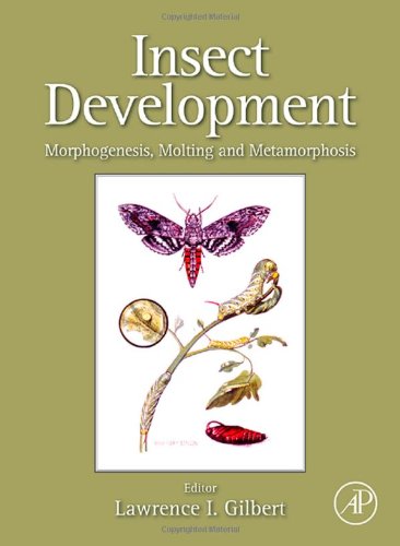 Insect Development Morphogenesis Molting And Metamorphosis 1st Edition Lawrence I Gilbert