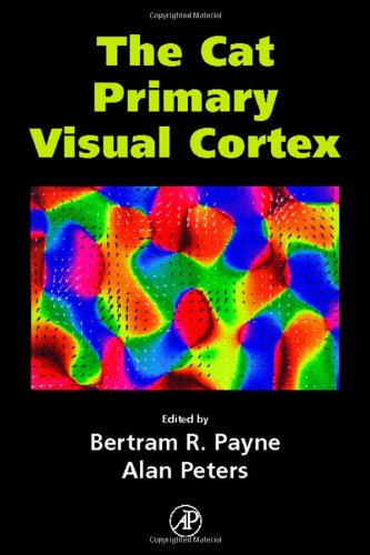 The Cat Primary Visual Cortex 1st Bertram Payne Alan Peters