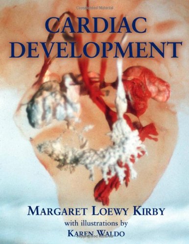 Cardiac Development 1st Edition Margaret L Kirby