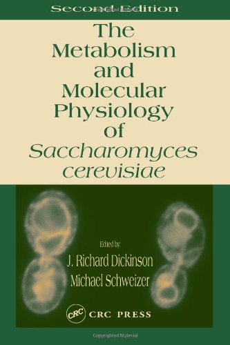 Metabolism And Molecular Physiology Of Saccharomyces Cerevisiae 2nd Edition 2nd Edition J Richard Dickinson