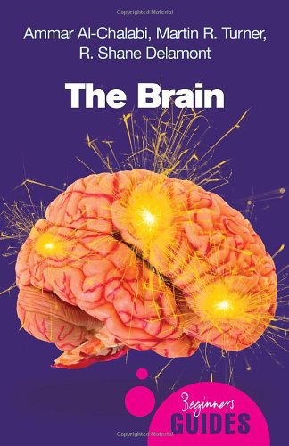 The Brain A Beginners Guide Oneworld Beginners Guides 1st Edition Ammar Alchalabi
