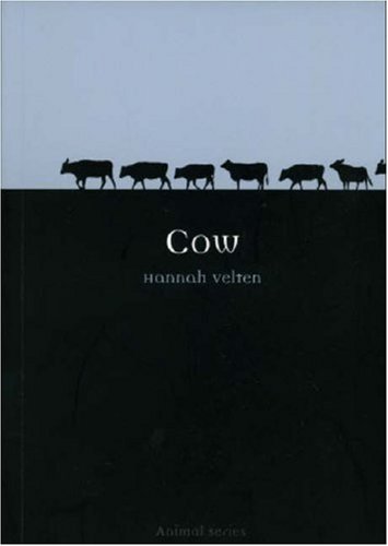 Cow Reaktion Books Animal Illustrated Edition Hannah Velten