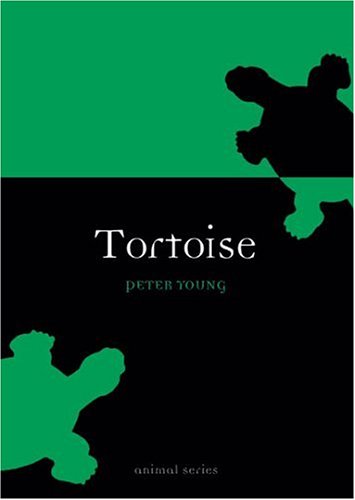 Tortoise 1st Ed Peter Young