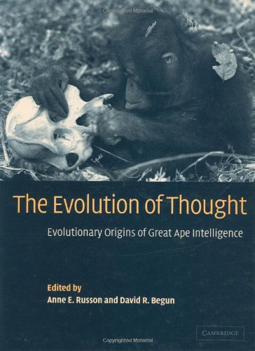 The Evolution Of Thought Evolutionary Origins Of Great Ape Intelligence 1st Edition Anne E Russon