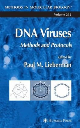 Dna Viruses Methods And Protocols 1st Edition Feng Wangjohanning