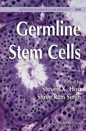 Germline Stem Cells 1st Edition David A Dansereau Paul Lasko Auth
