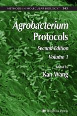 Agrobacterium Protocols 2nd Kan Wang Ed
