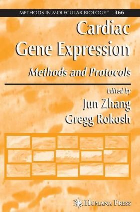 Cardiac Gene Expression Methods And Protocols 1st Edition Yurong Liang
