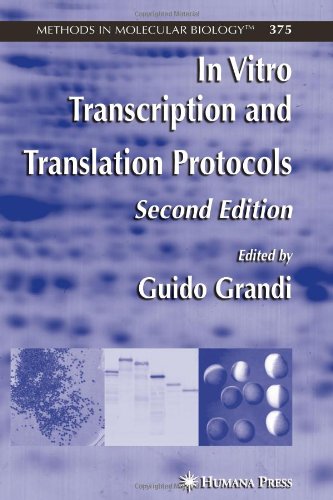 In Vitro Transcription And Translation Protocols 2nd Edition Kara A Calhoun