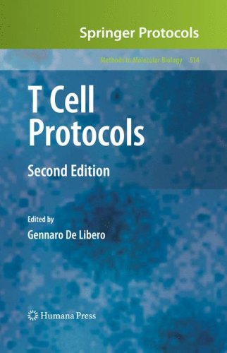 T Cell Protocols Second Edition 2nd Edition Angus Stock Vincenzo Cerundolo Auth