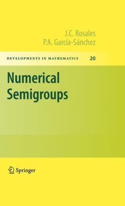 Numerical Semigroups 1st Edition Jc Rosales P A Garcasnchez Auth
